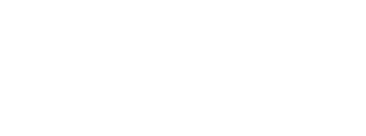 NEVONAVE