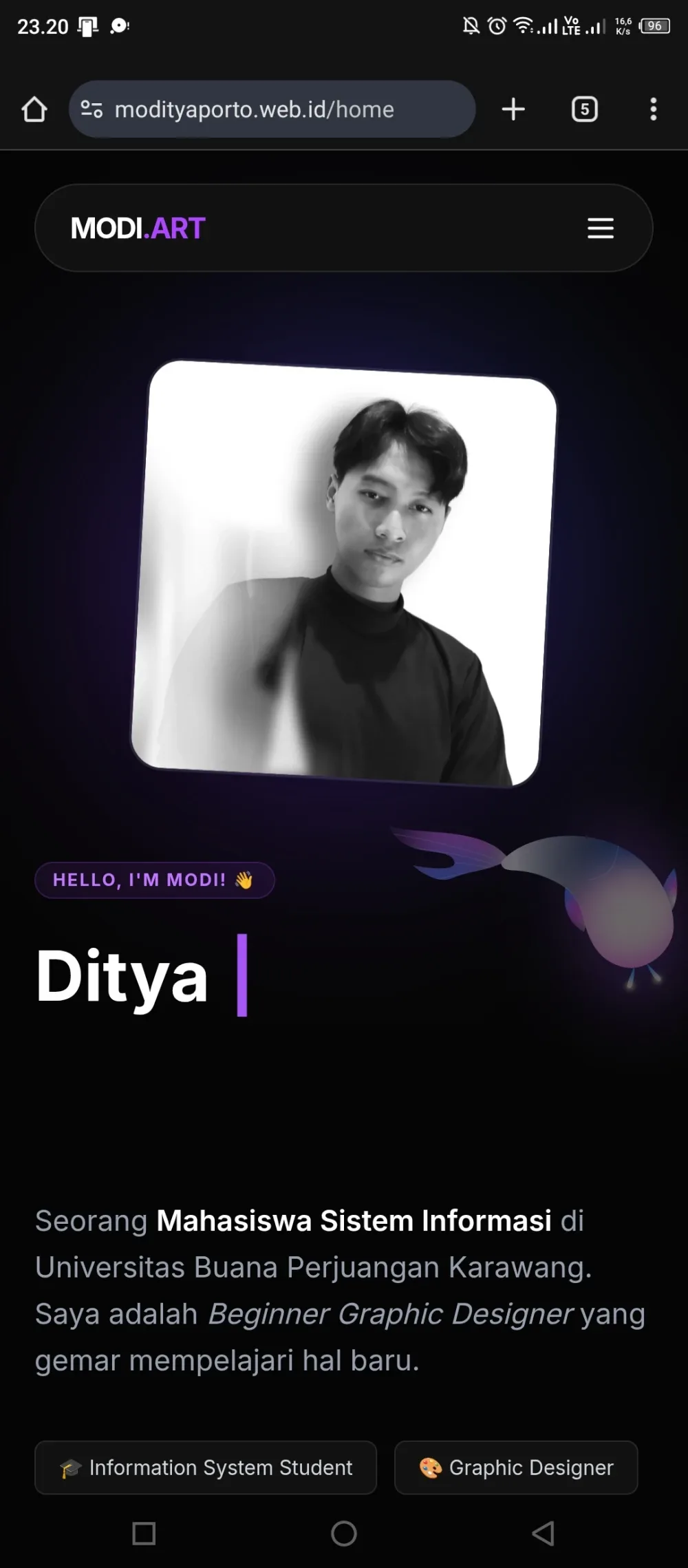 Visual 1 — Moditya Portofolio