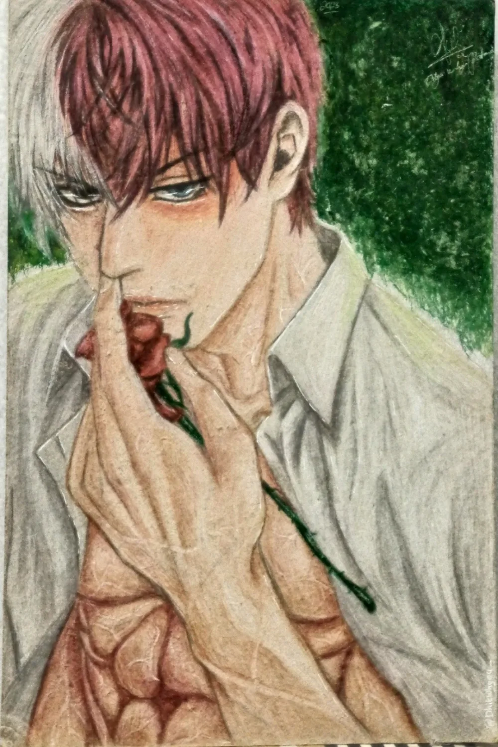 Visual 1 — Shoto Todoroki - MHA