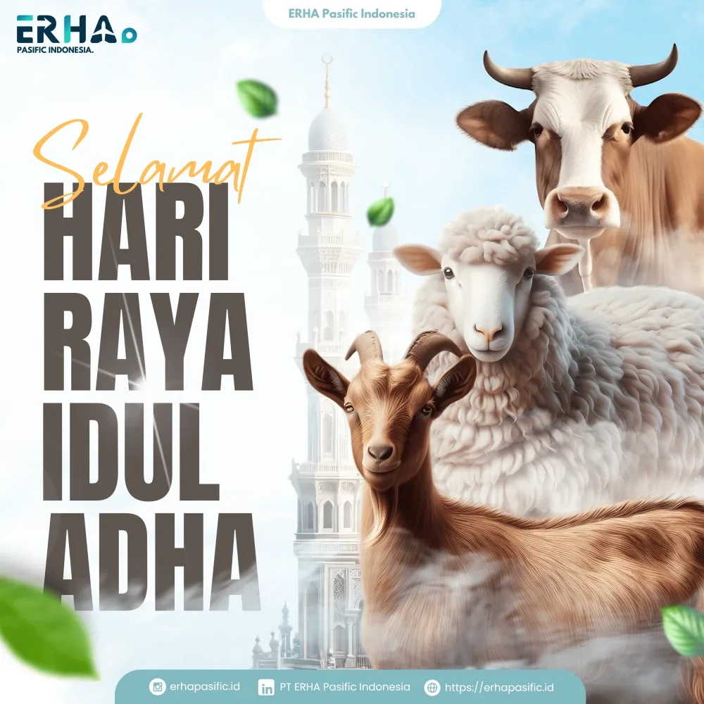 Visual 13 — Social Media Design ERHA