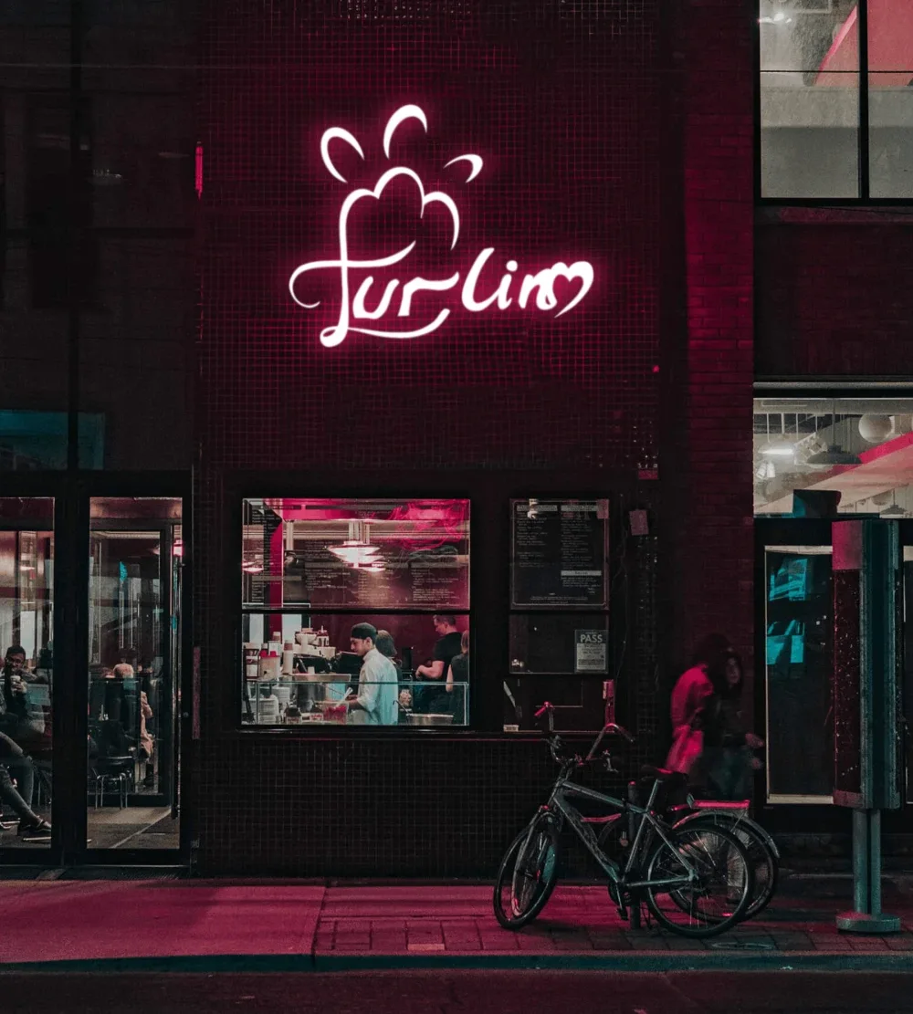 Visual 3 — Logo Furlin Petshop