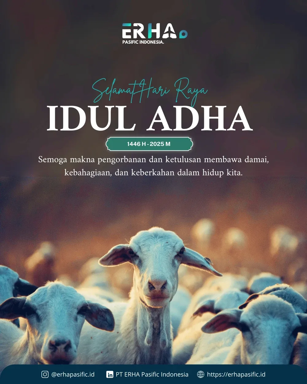 Feed Idul Adha