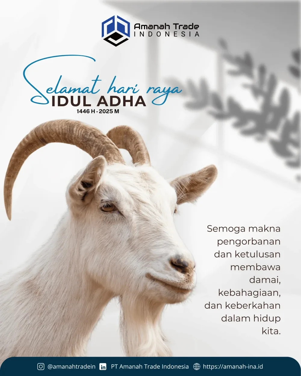 Feed Idul Adha